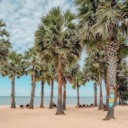 Plage privée, sable blanc, chaises longues, parasols