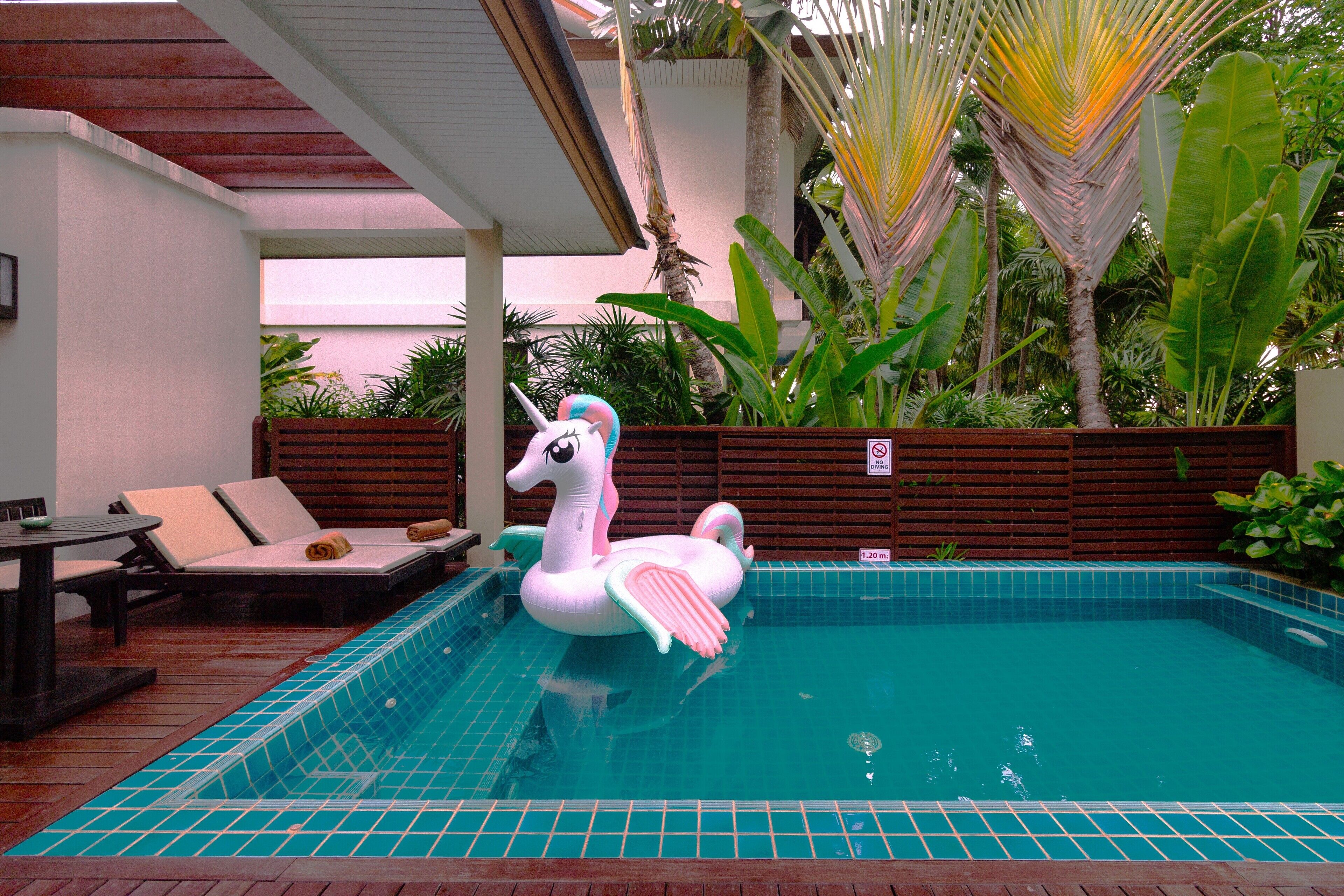 Una piscina con un flotador de unicornio, sillas de descanso y plantas tropicales.