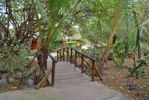 Property grounds - Kia Lodge (Arusha)
