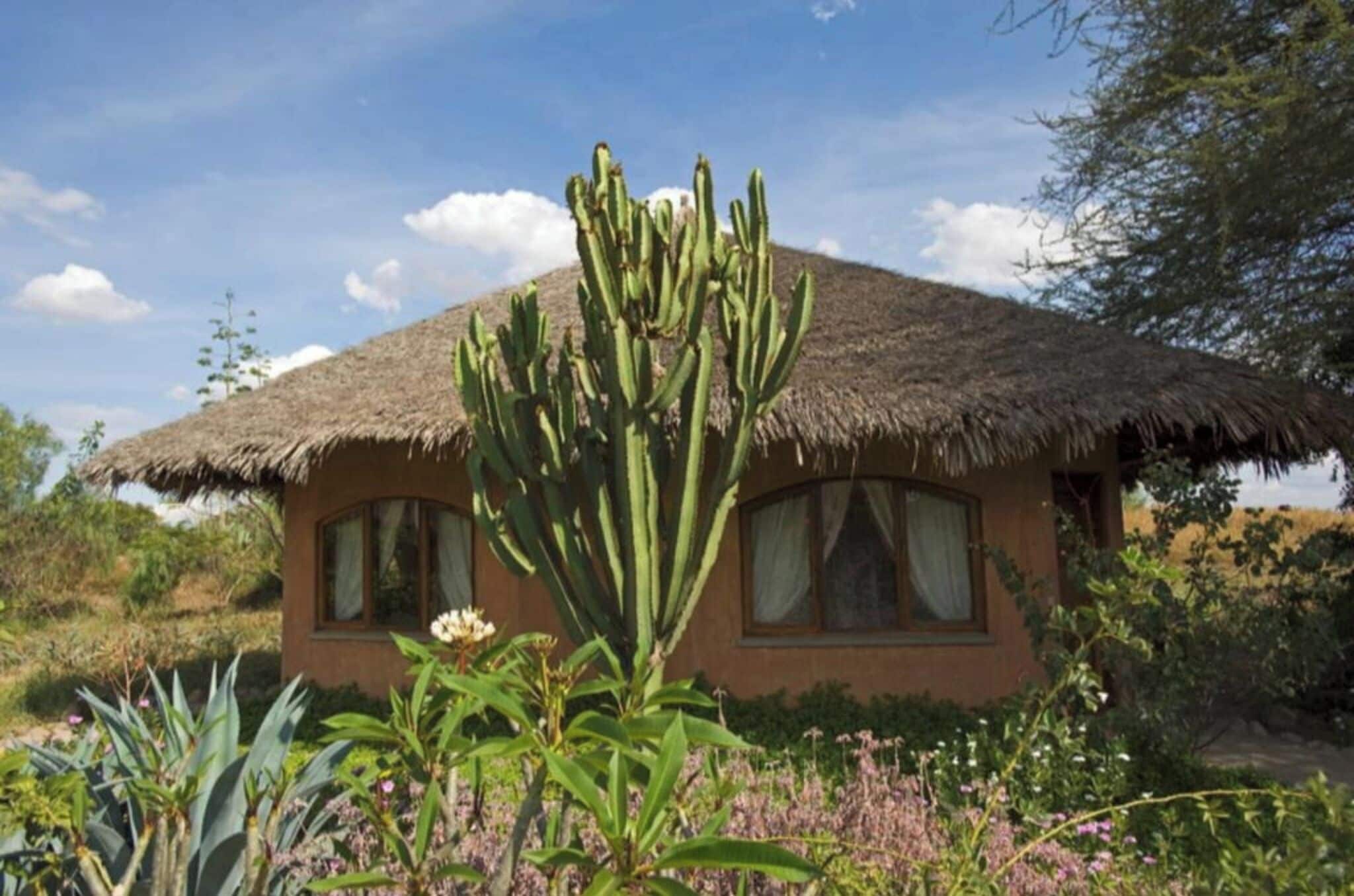 A rustic house with a thatched roof, surrounded by native vegetation and a clear sky.