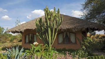 A rustic house with a thatched roof, surrounded by native vegetation and a clear sky.