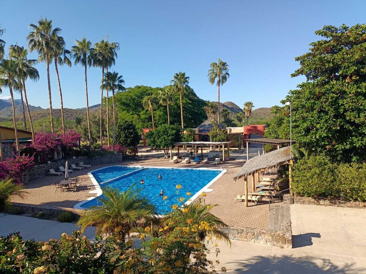 Una piscina rodeada de palmeras y un muro de piedra, con sillas de descanso y una zona de estar cubierta.