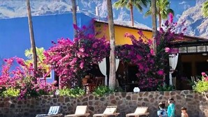 A resort with stone walls, lounge chairs, and vibrant pink bougainvillea flowers. - Hotel Tripui (Loreto)
