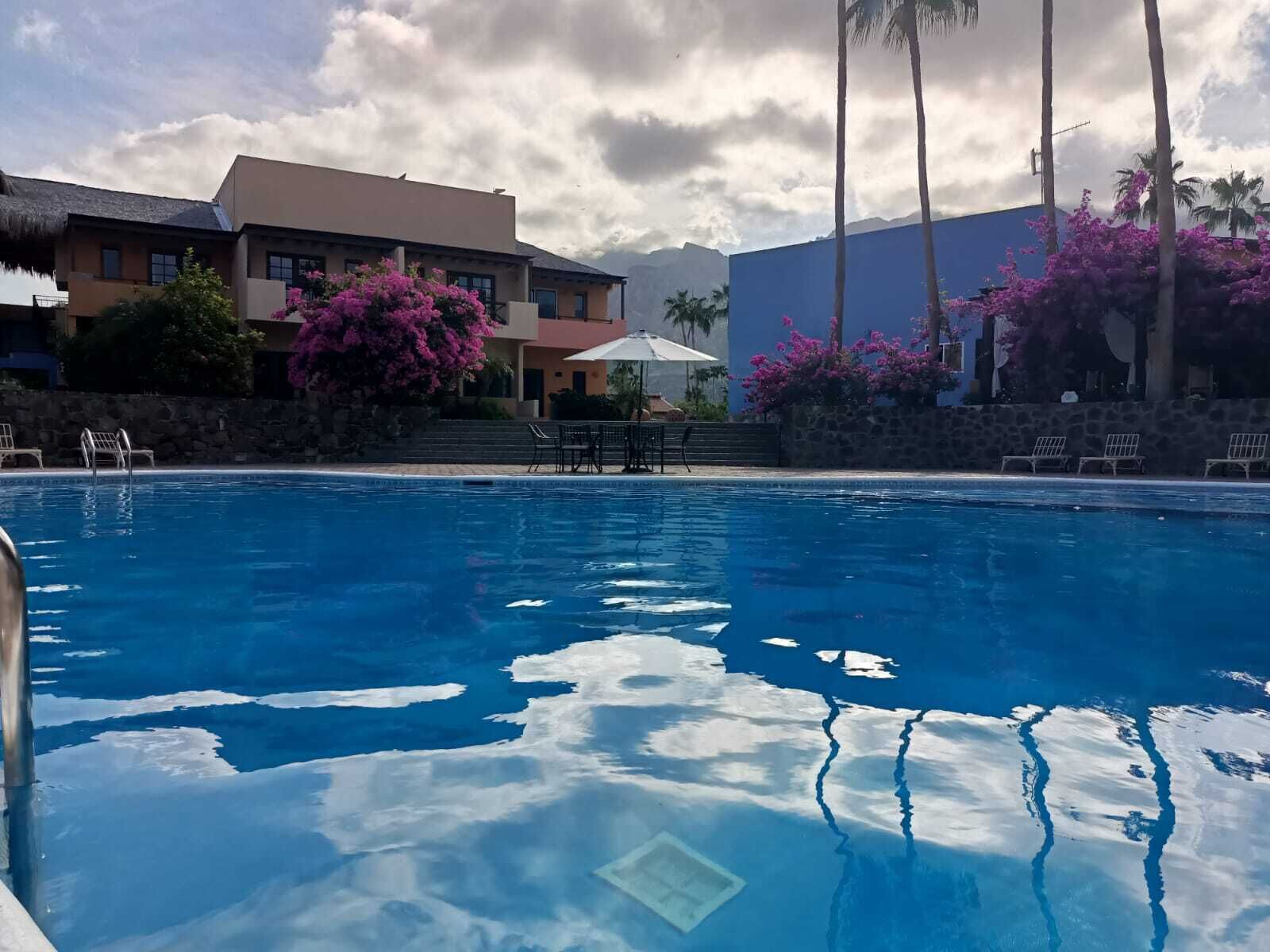 A swimming pool with clear blue water, surrounded by palm trees and pink bougainvillea flowers.