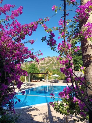 Una piscina circondata da rigogliosi fiori di bouganvillea rosa, con cielo azzurro e montagne sullo sfondo.