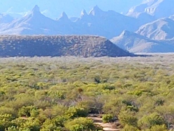 A desert landscape with sparse vegetation and distant mountains. - Hotel Tripui (Loreto)