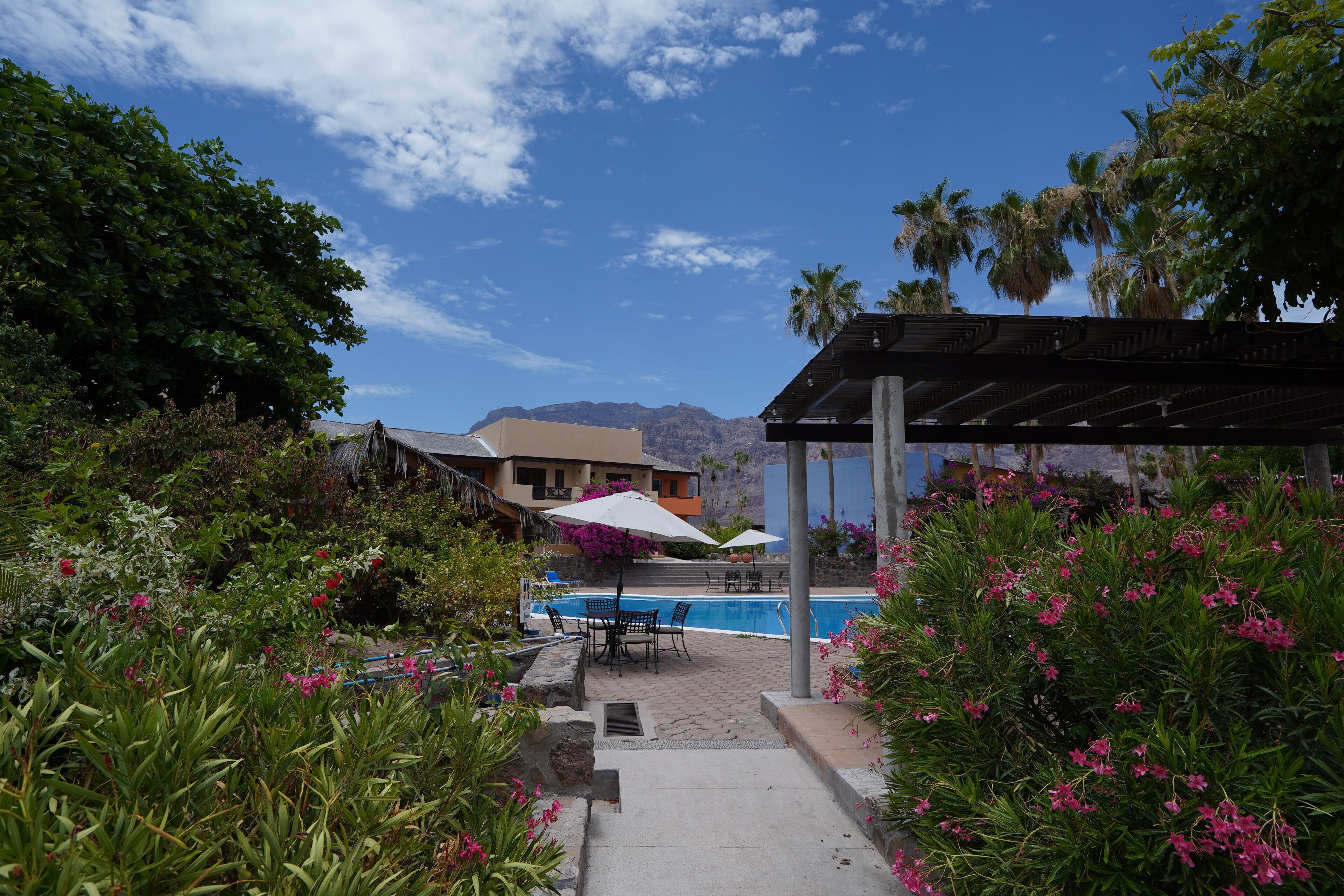Un área de piscina con una zona de estar cubierta, rodeada de abundante vegetación y plantas en flor.