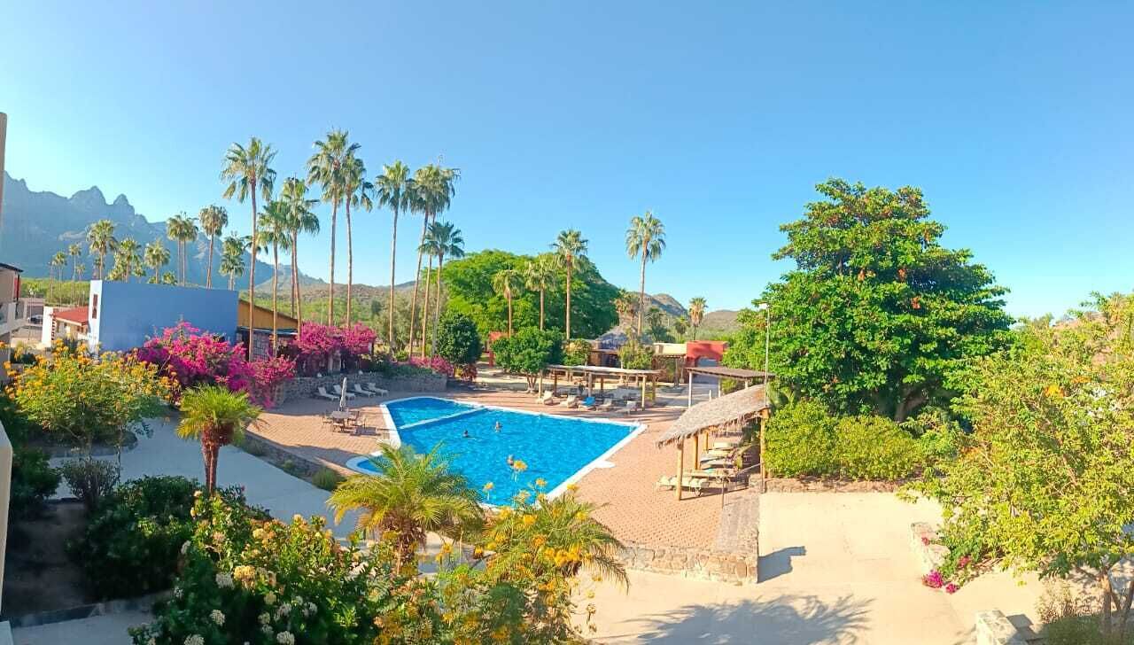 Ein Poolbereich mit einem klaren, blauen Pool, umgeben von Palmen und üppiger Vegetation.