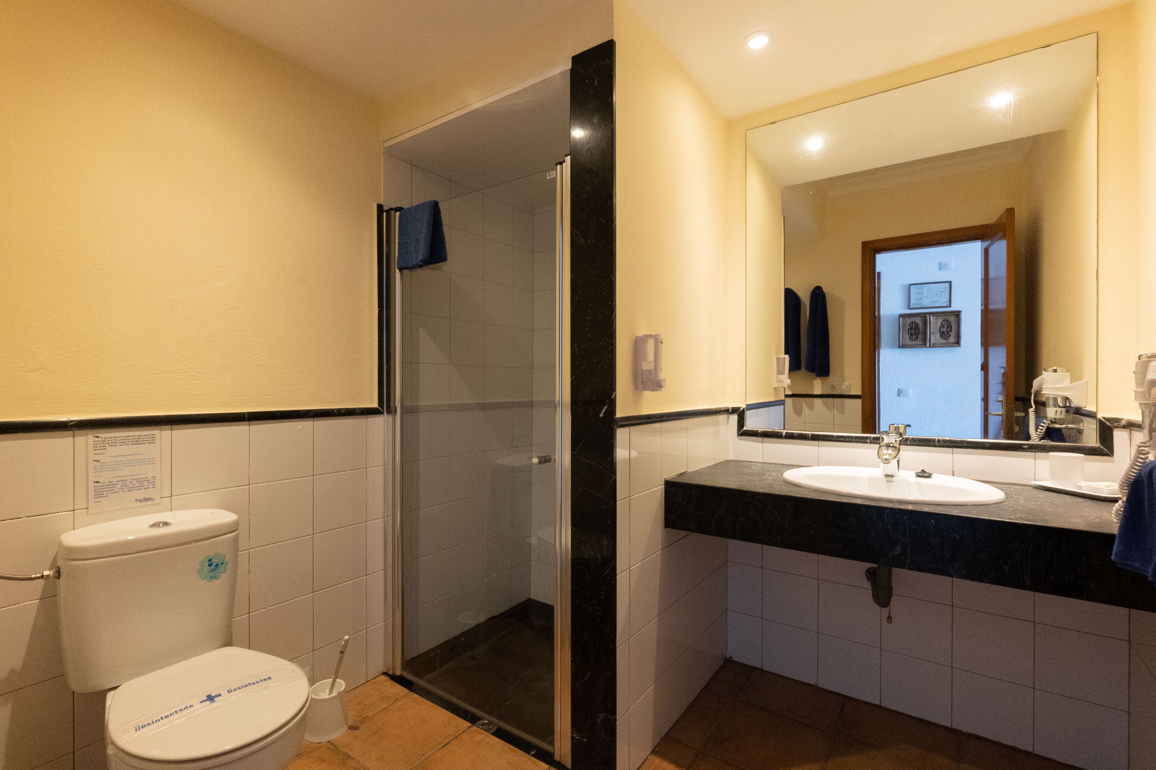 Une salle de bain comprenant des toilettes, une douche, un lavabo et un miroir.