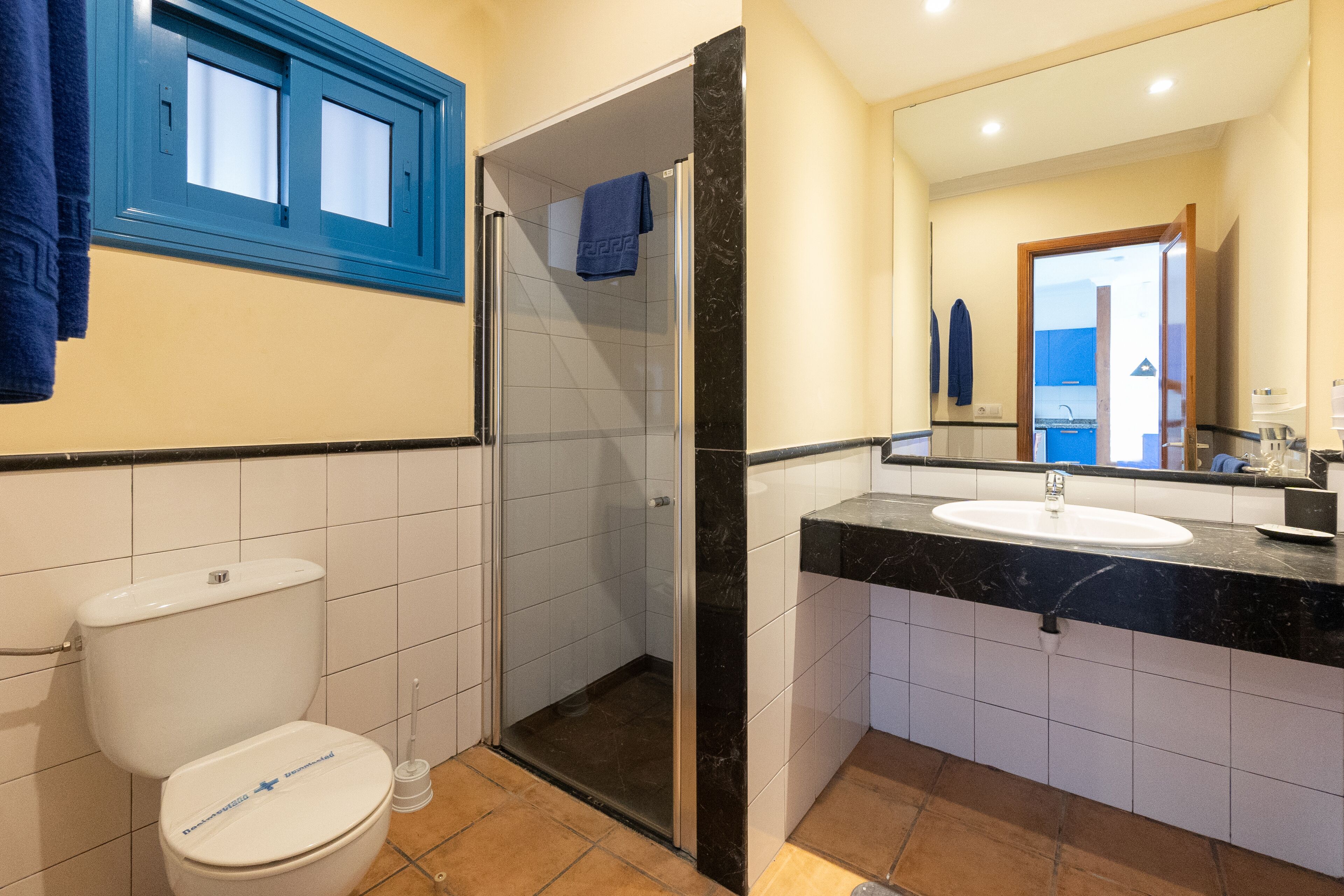 A bathroom with a toilet, a shower, a sink, and a mirror.