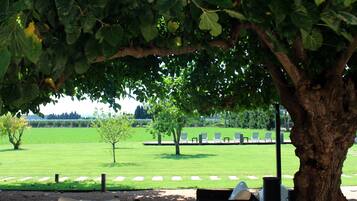 Et udendørs område med træer, græsplæne, en bænk og en række liggestole.