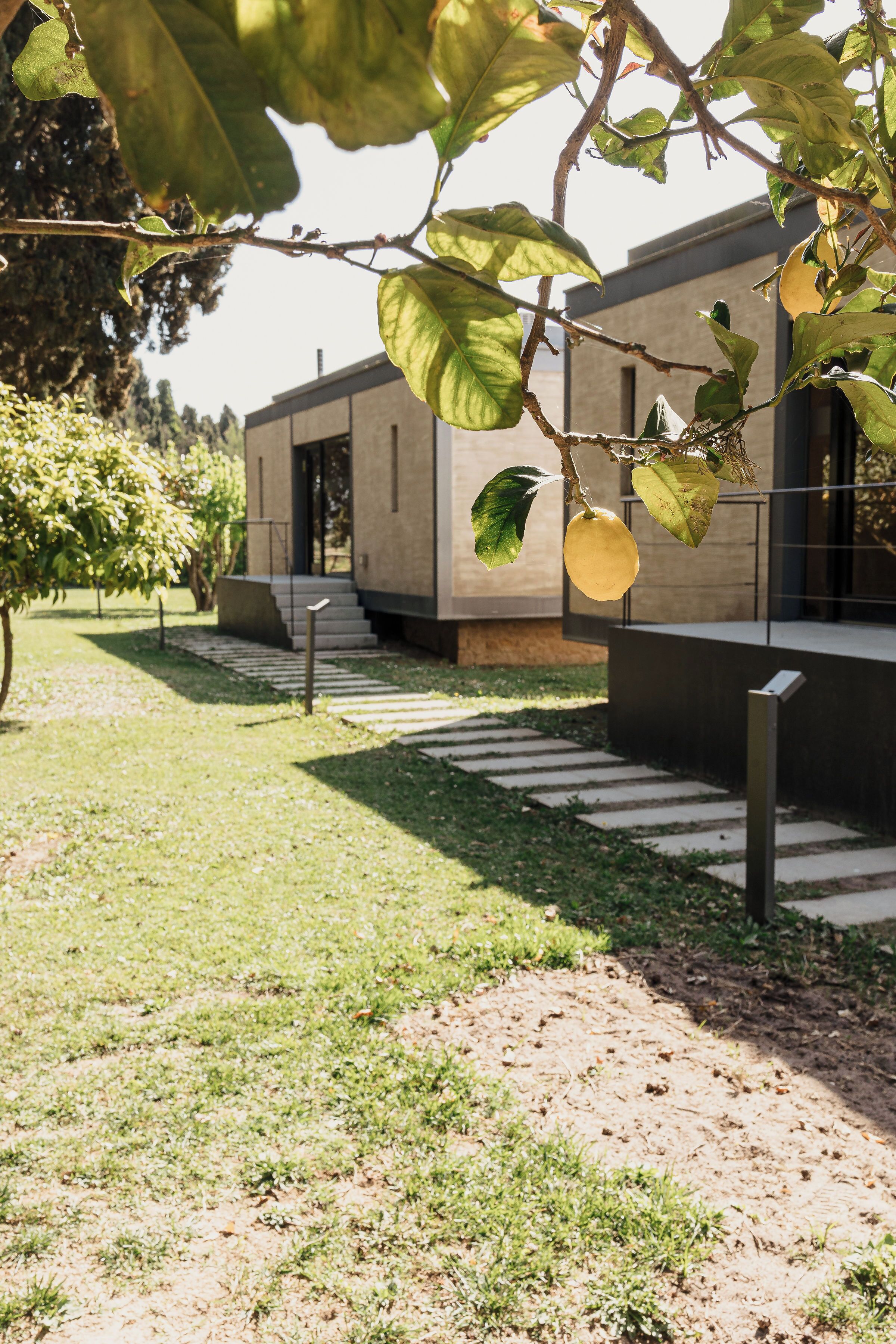A modern building with a paved pathway leading to the entrance.