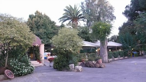 A courtyard with a palm tree, a pergola, and a building with a red roof. - Locanda delle Corse (Rome)