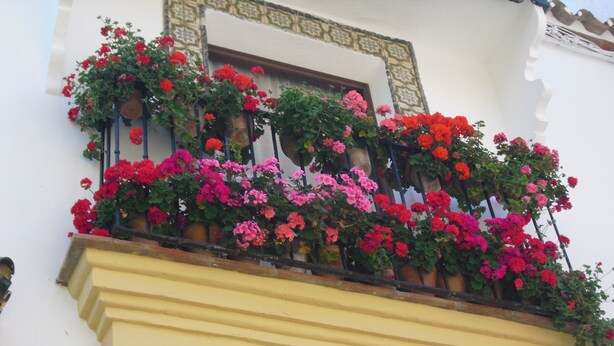 A building with a balcony adorned with red and pink flowers. - Hotel Ronda (Ronda)