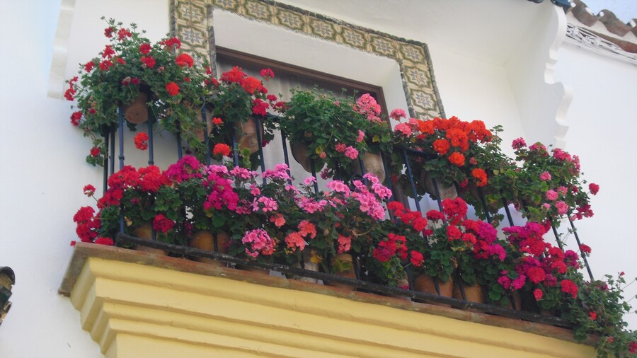 Hotel Ronda