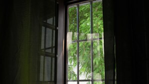 A room with a large window, a view of greenery outside, and a partially open door. - Hotel Ronda (Ronda)