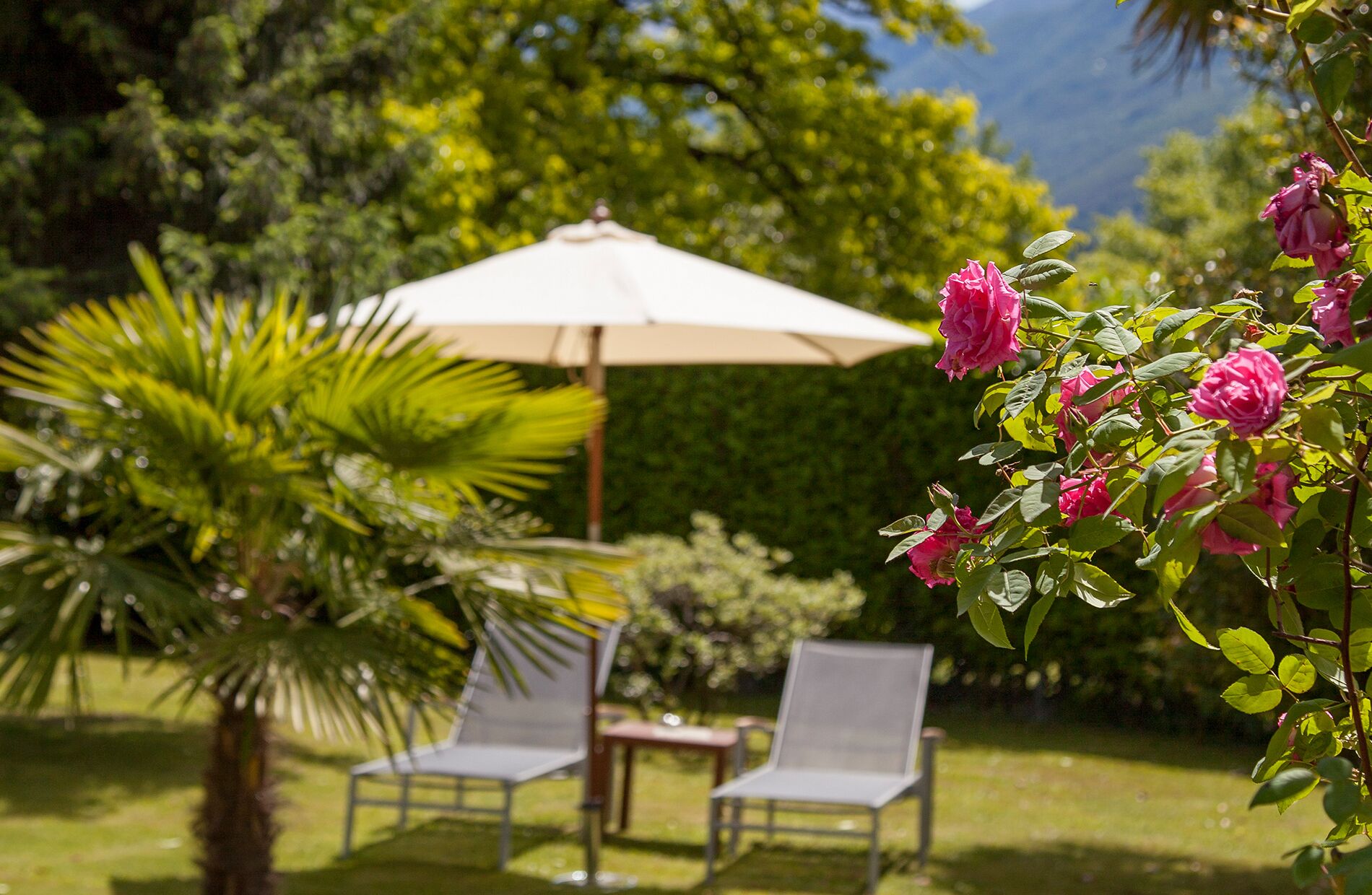 A garden with a table and two chairs under a large umbrella, surrounded by lush greenery and pink flowers.