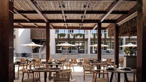 Un área de comedor al aire libre con mesas y sillas de madera, cubierta por un techo de paja, y grandes sombrillas que ofrecen sombra.