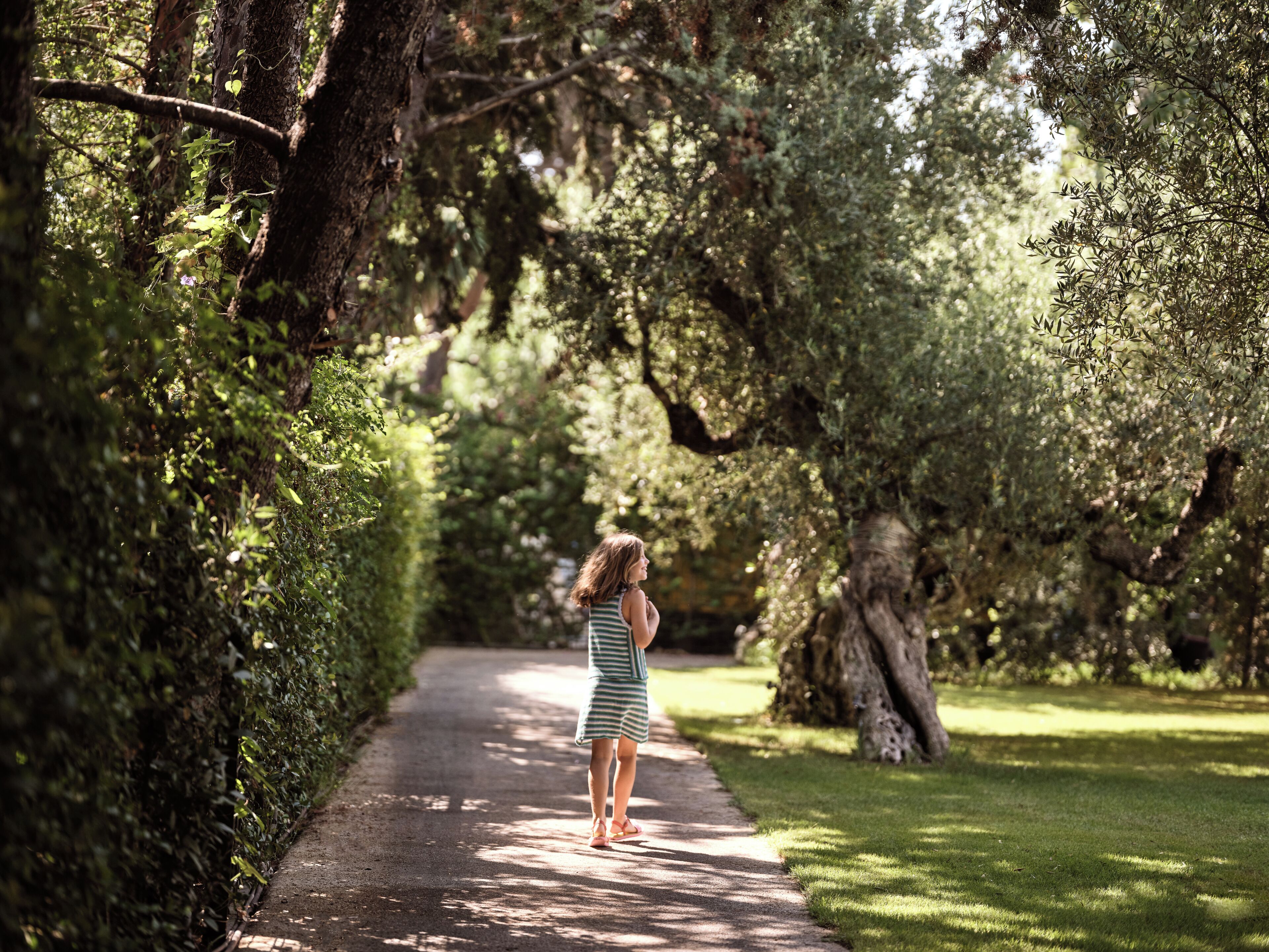 A pathway surrounded by trees and greenery.