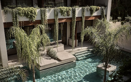 A modern pool area with clear water, surrounded by greenery and stone seating.
