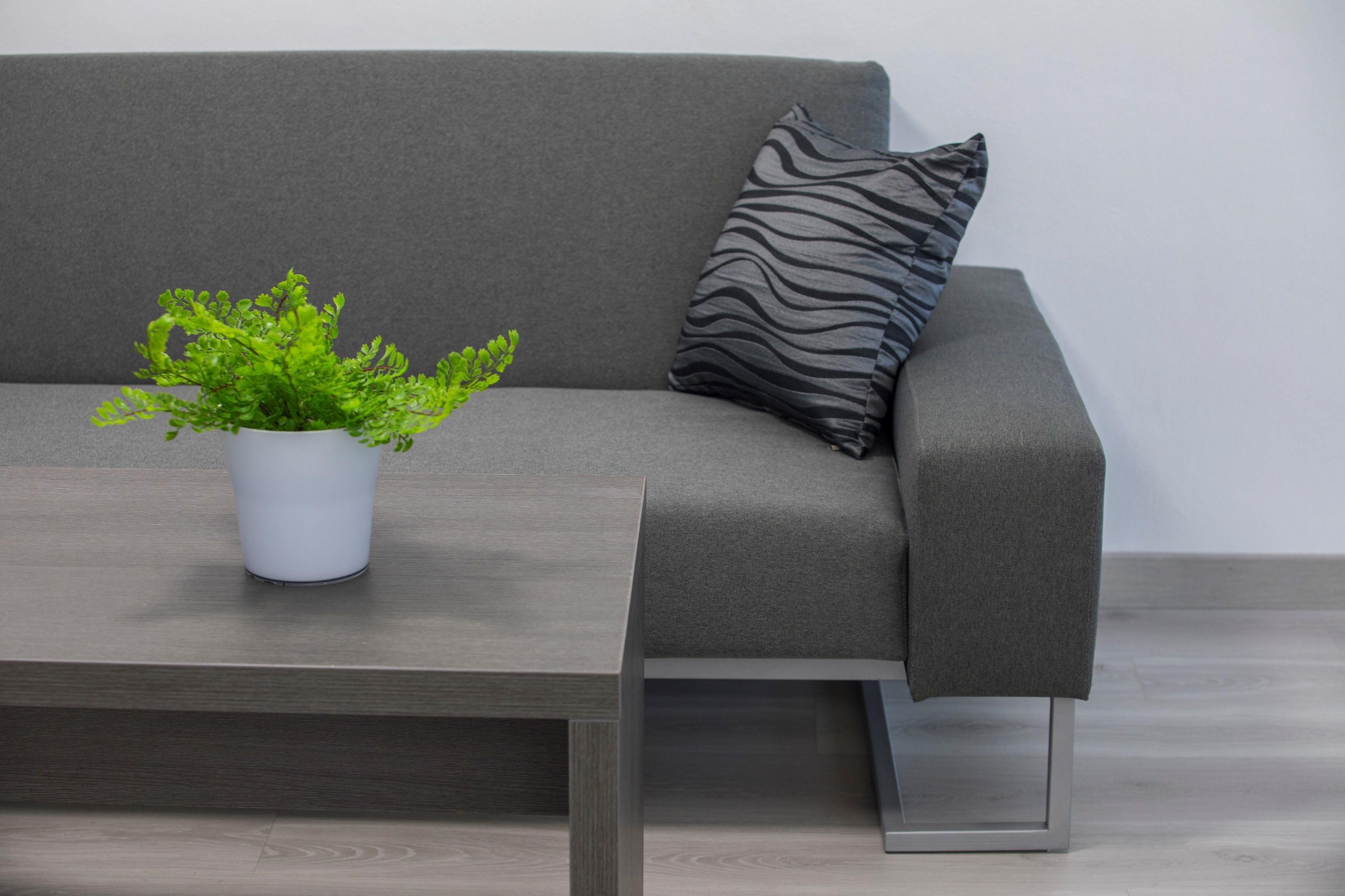 A modern living room with a grey sofa, a zebra-patterned pillow, and a white pot with green plants on a wooden coffee table.