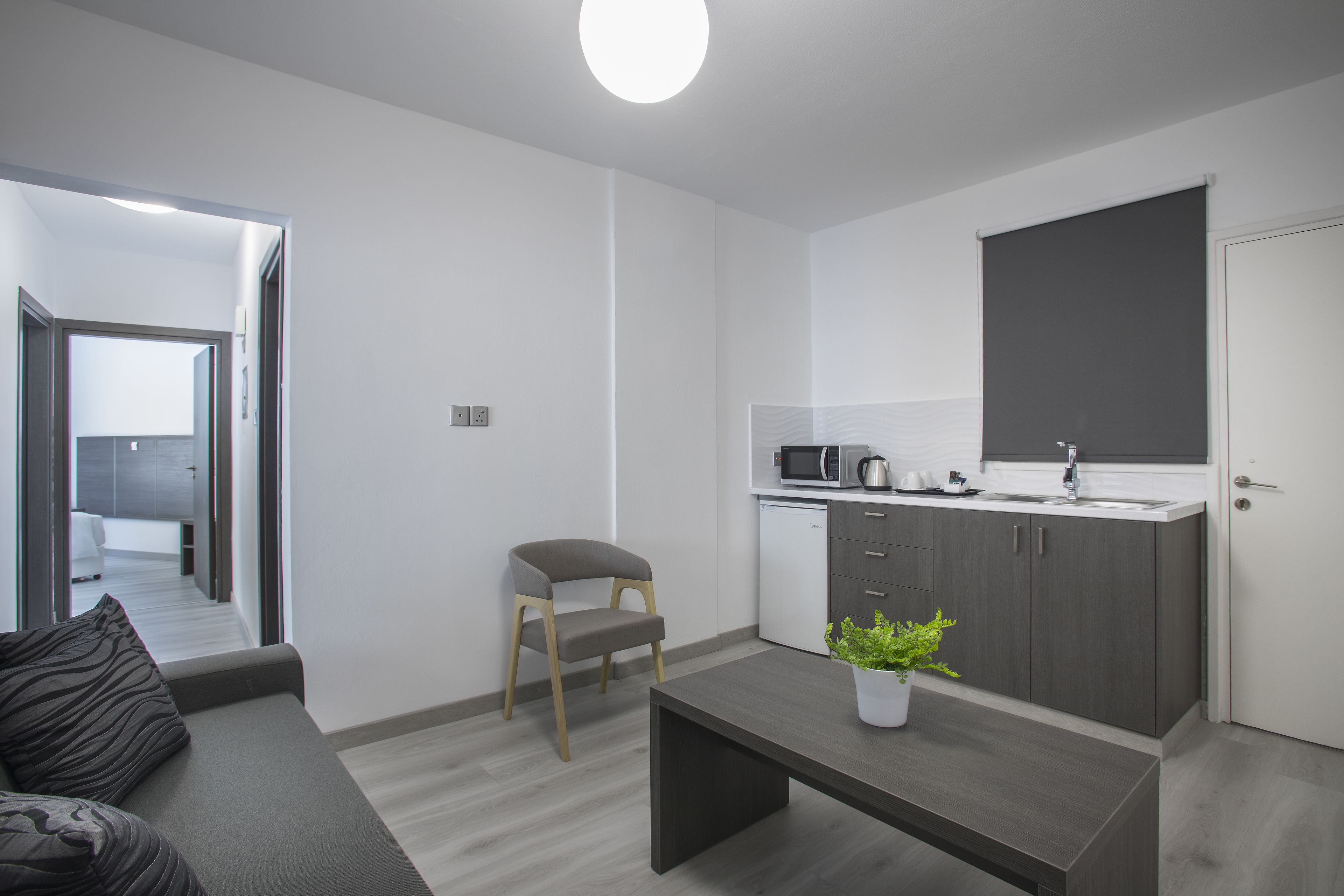 A modern, compact living space with a kitchenette, a dining area, and a sofa.