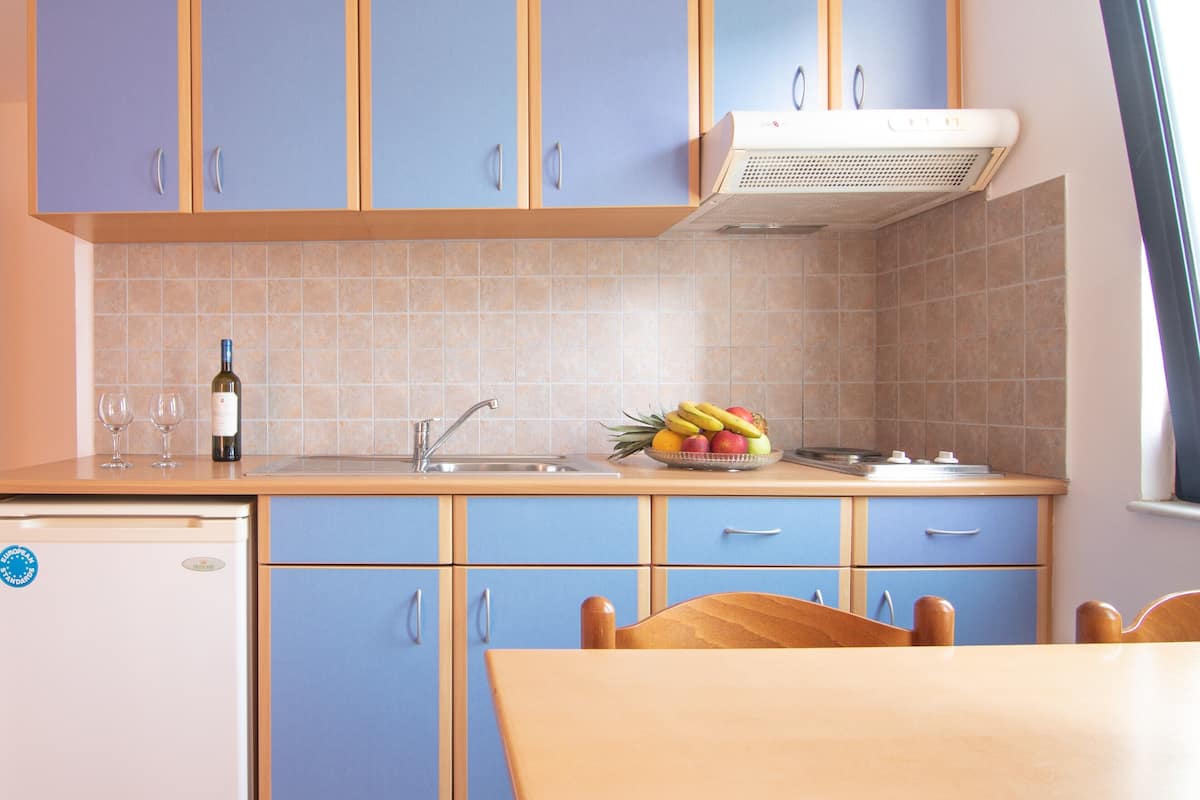 fridge, stovetop, electric kettle, cookware/dishes/utensils