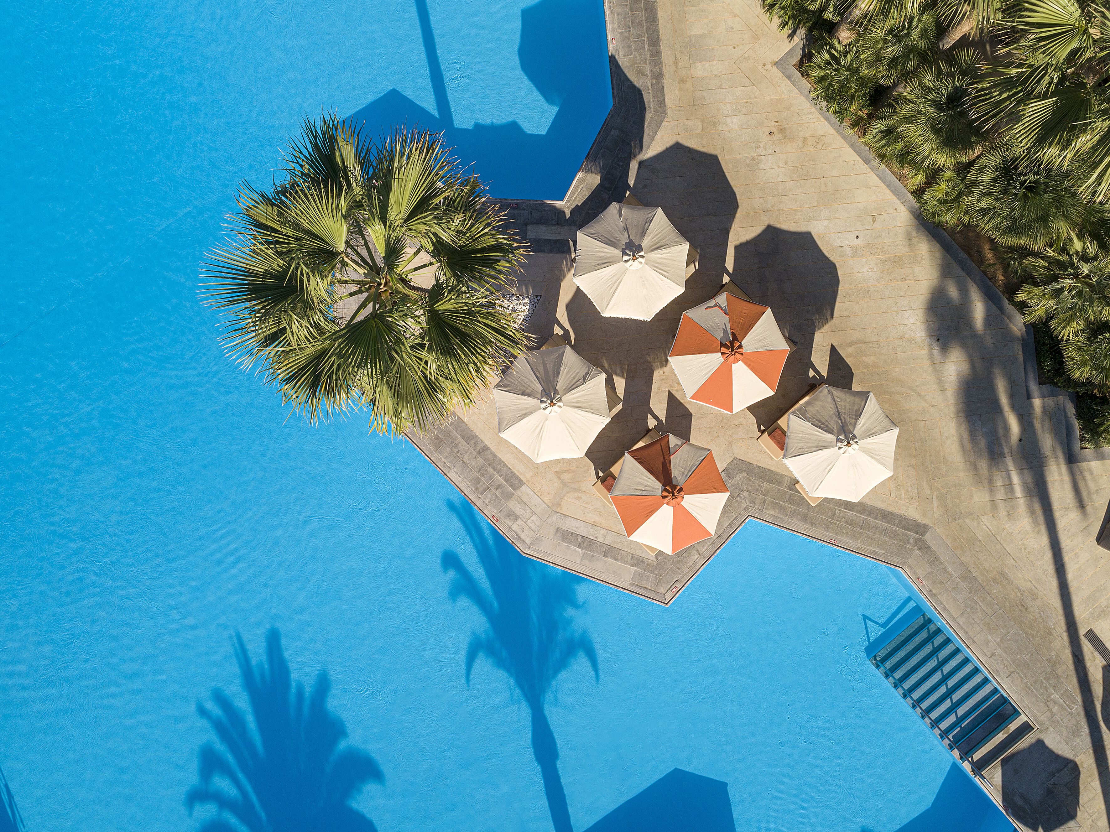 Vista aérea de un área de piscina con palmeras y sombrillas.