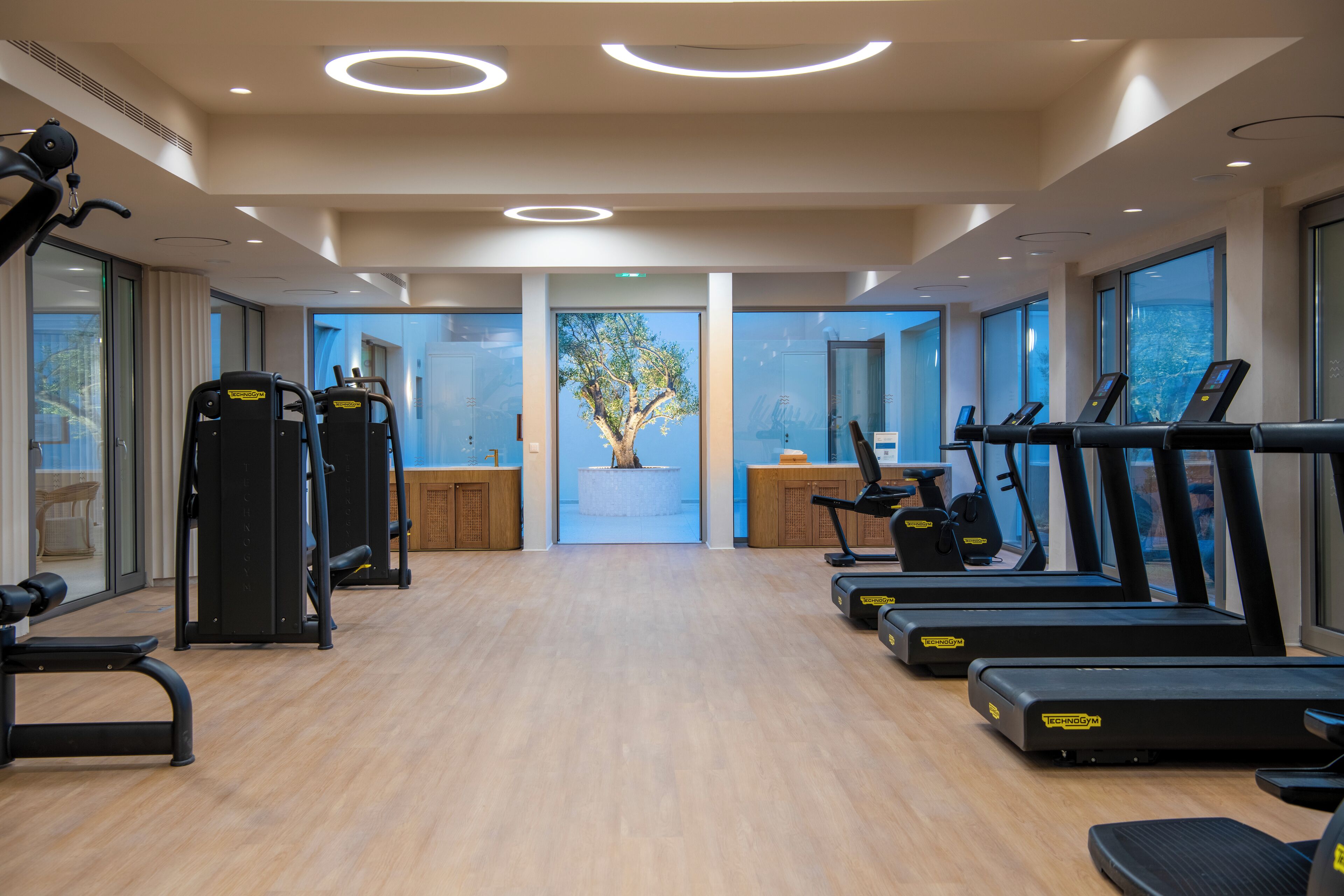 A modern gym with cardio equipment, a wooden floor, and large windows offering a view of a tree and cityscape.