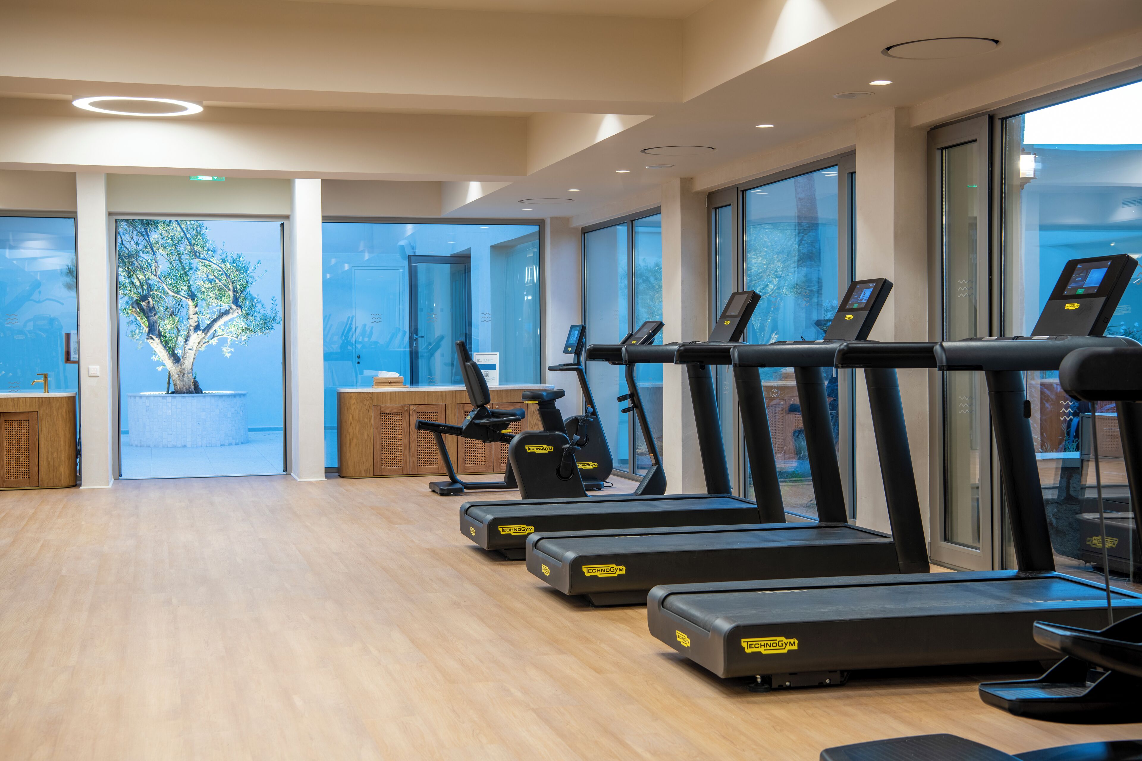 A gym with treadmills, a wooden floor, and large windows.
