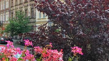 Chambre Triple Standard | Vue de la chambre