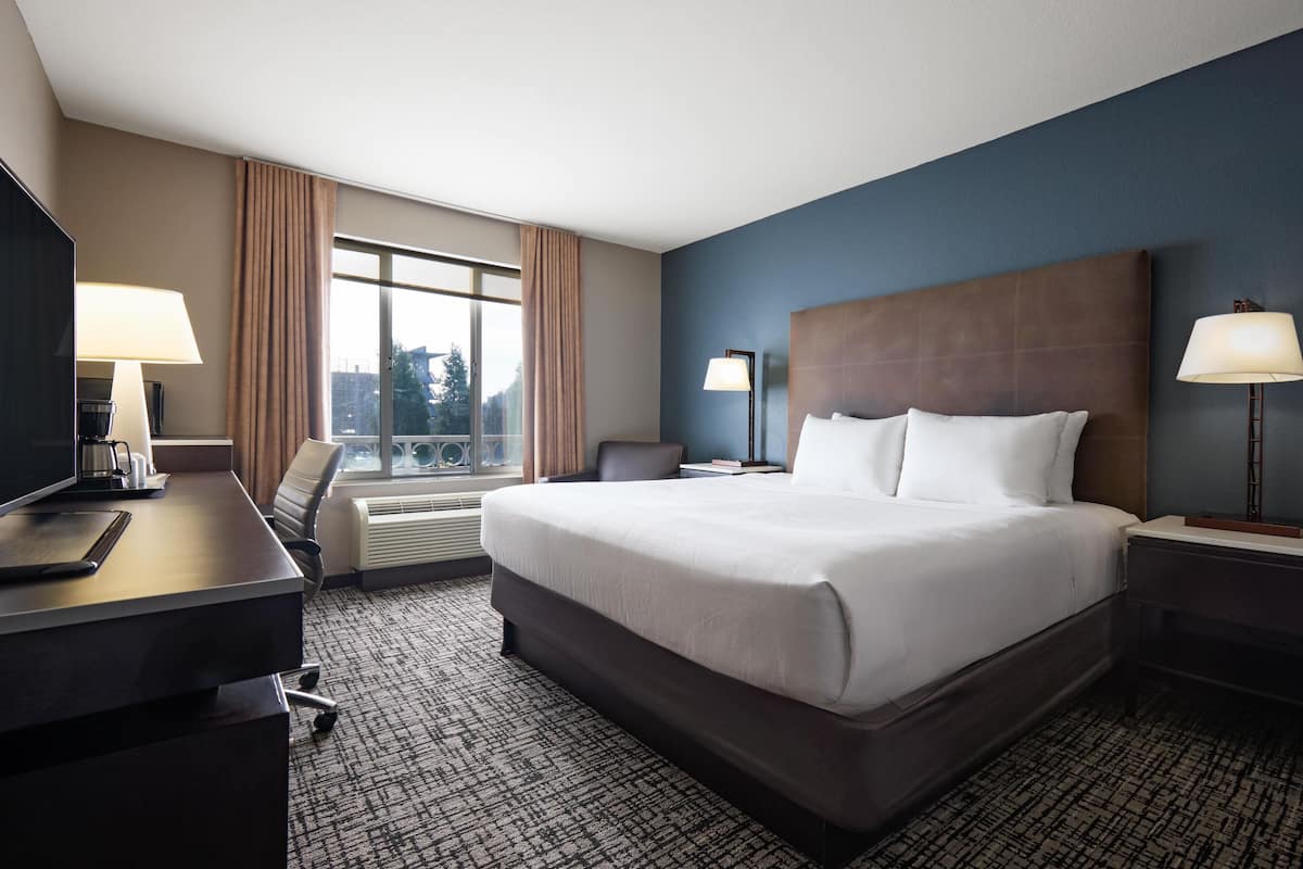 A hotel room with a large bed, a desk, a chair, a TV, and a window with curtains.
