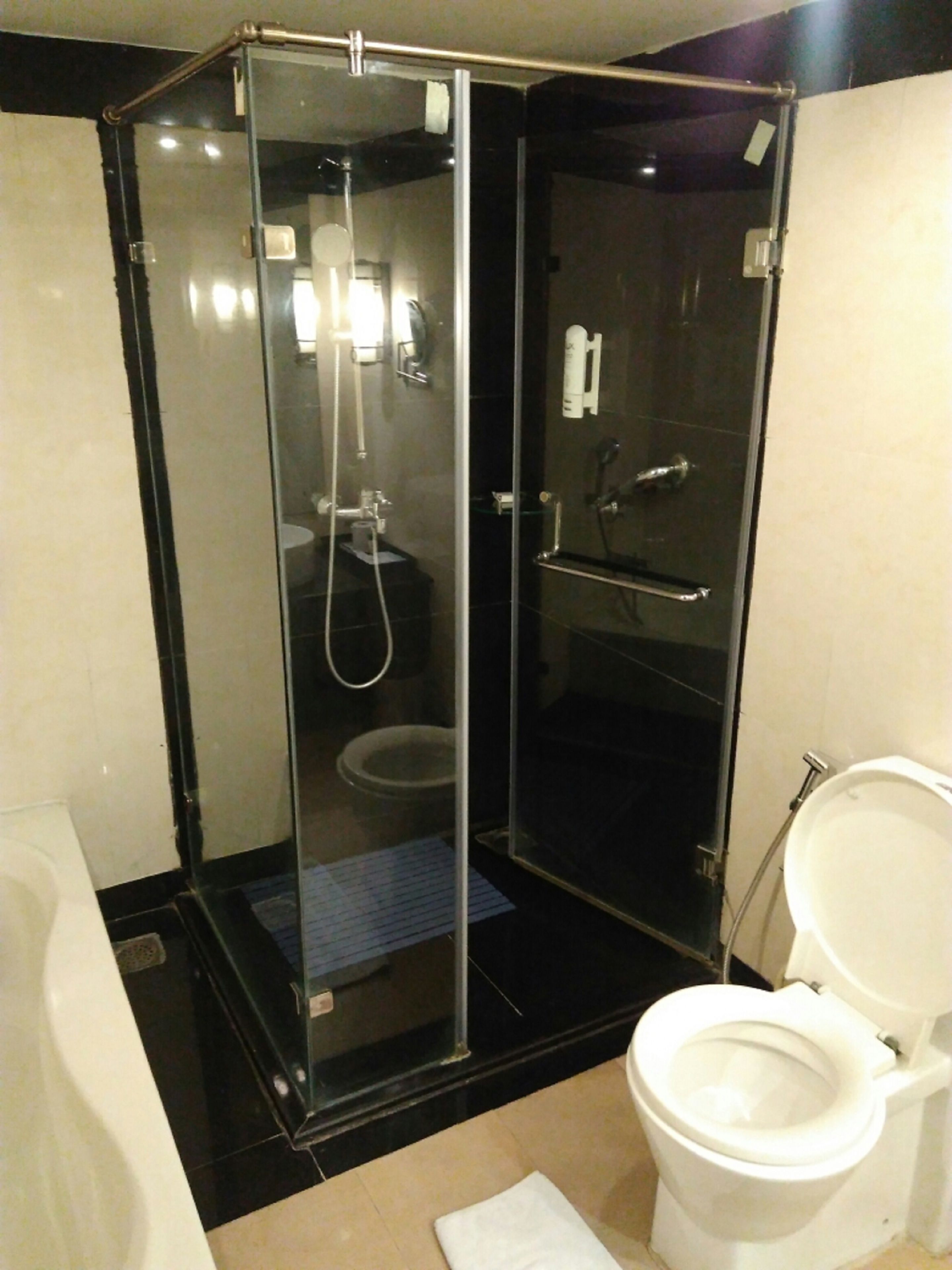 A modern bathroom with a glass-enclosed shower, a toilet, and a bathtub.