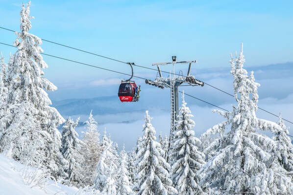 A cable car moving along a snowy mountain landscape with snow-covered trees and a clear sky. - Hotel Mirage (Cortina d'Ampezzo)