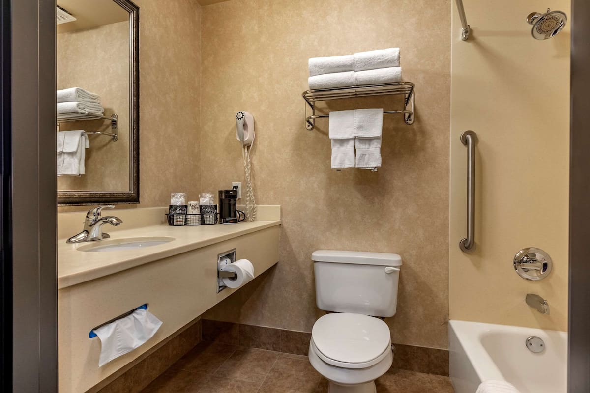 Badkar/dusch, gratis toalettartiklar, hårtork och handdukar