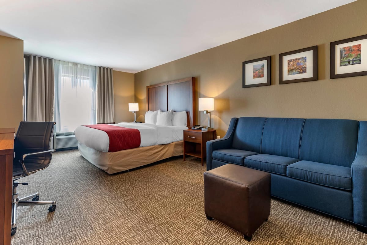 Phòng Suite, 1 giường cỡ king và sofa giường, phù hợp cho người khuyết tật, không hút thuốc | Bàn, màn/rèm cản sáng, bàn ủi/dụng cụ ủi quần áo 