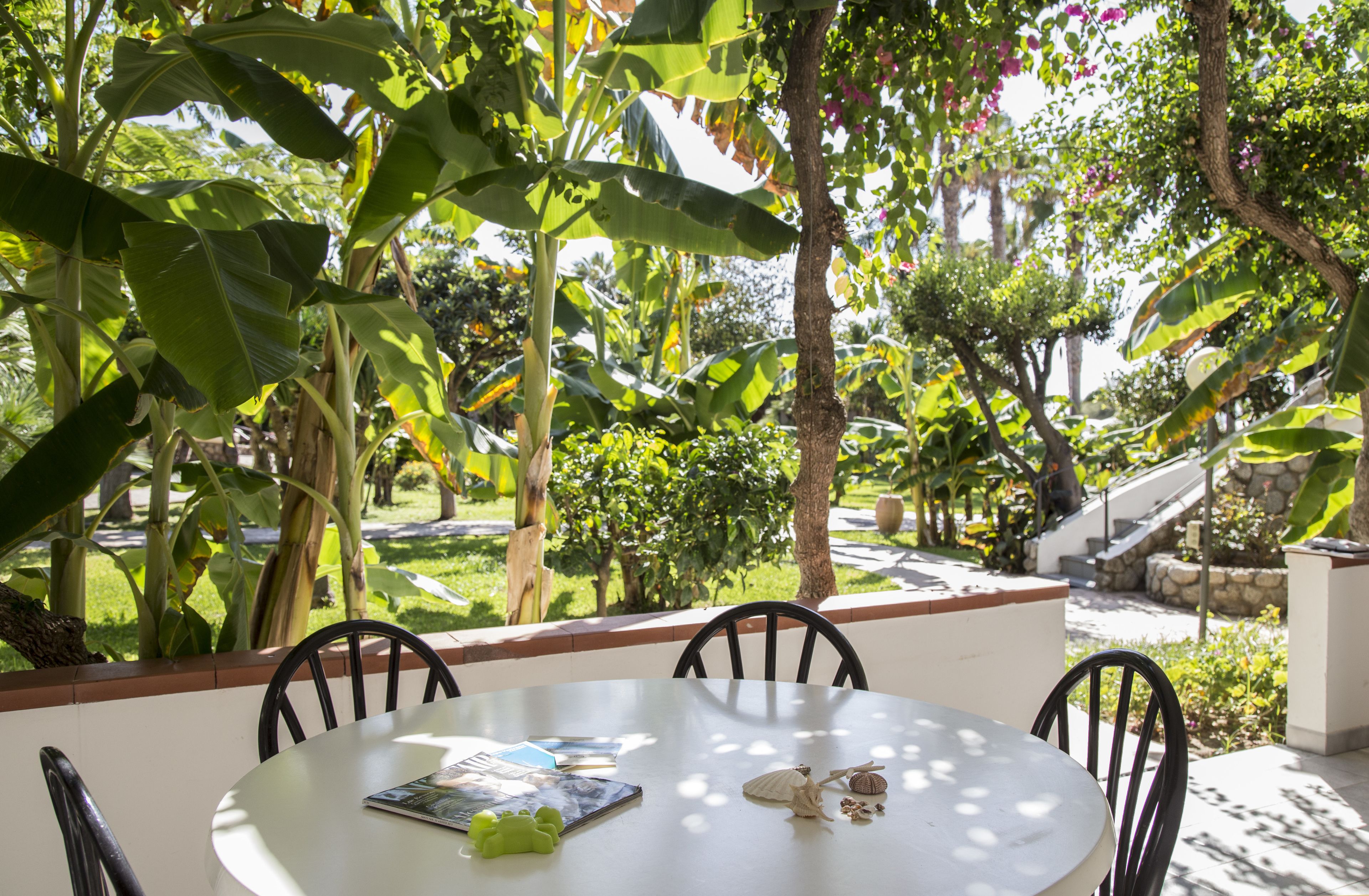 A round table with four chairs, surrounded by lush greenery and a stone pathway.