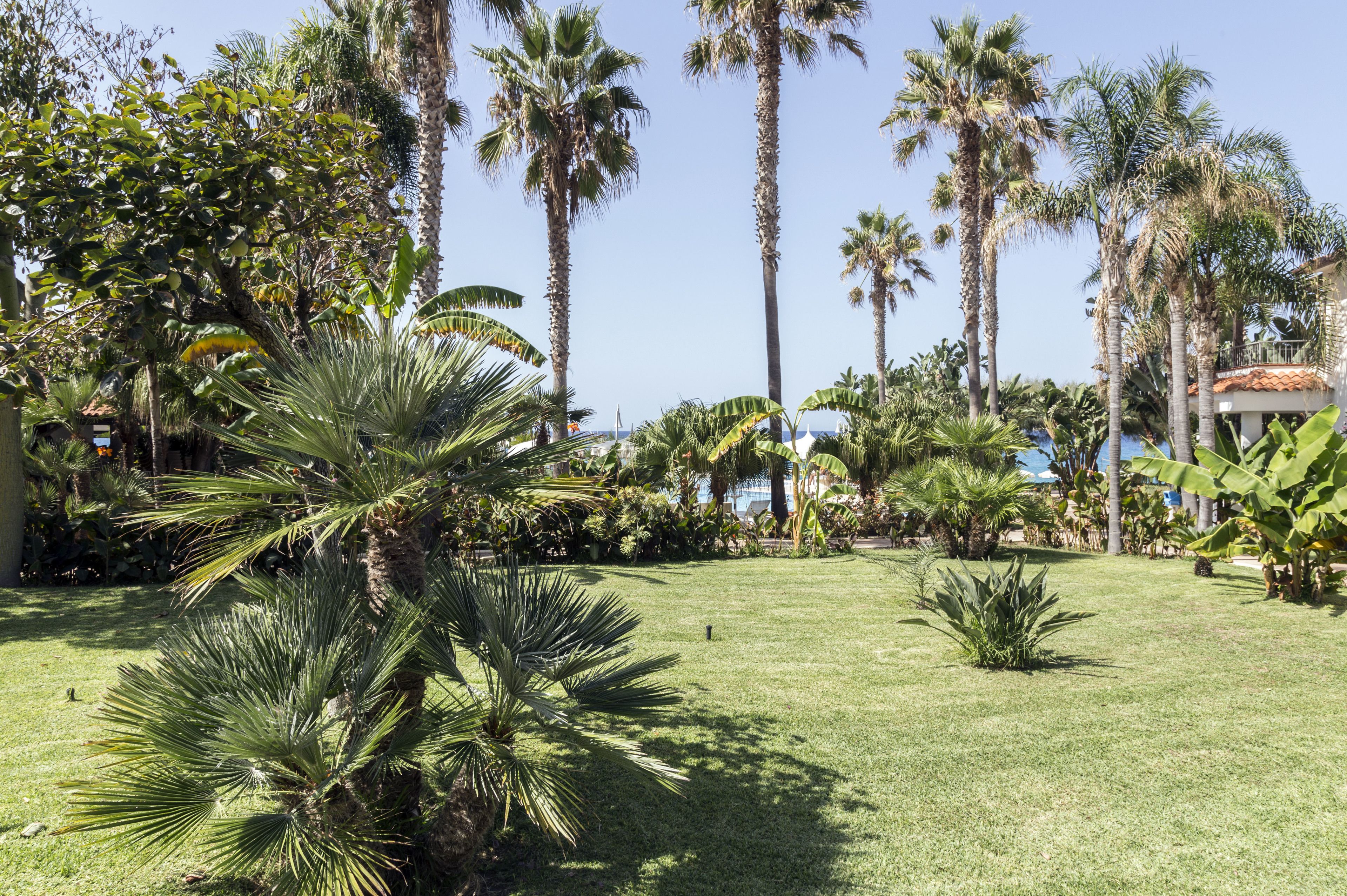 Giardino