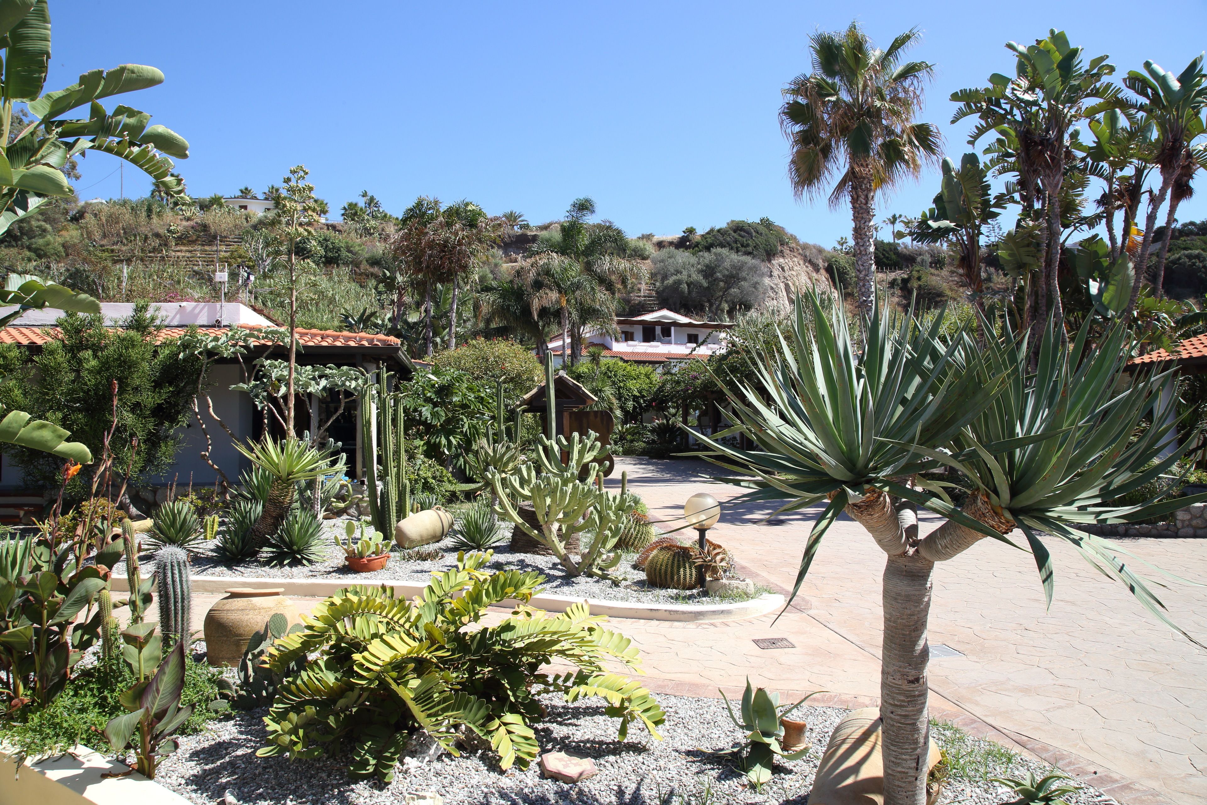 Un jardín con diversos cactus y palmeras, rodeado de edificios con tejados de tejas rojas.