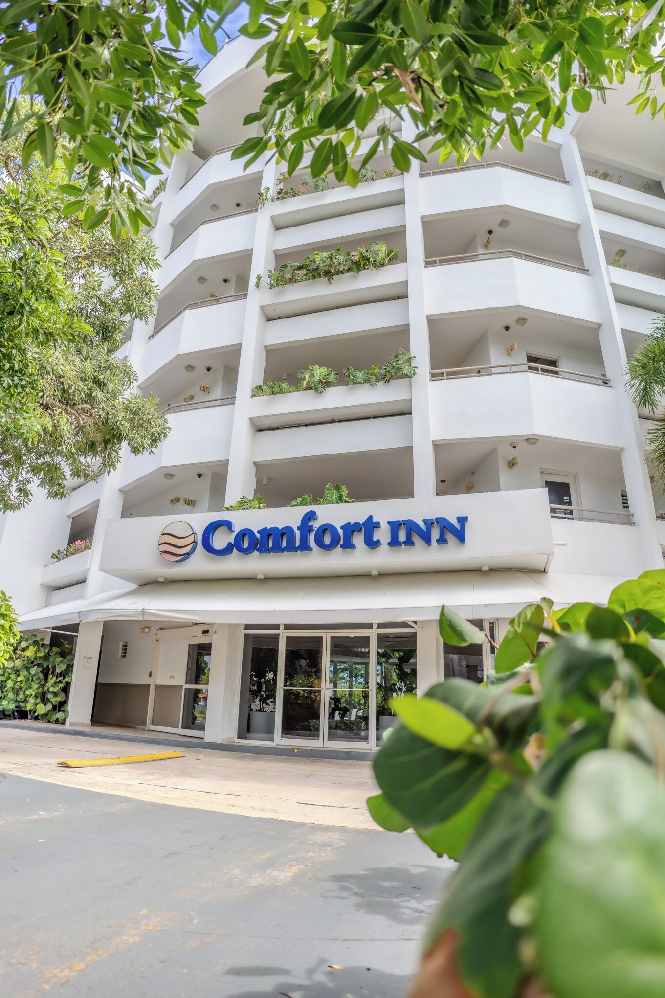 Foto - Comfort Inn & Suites