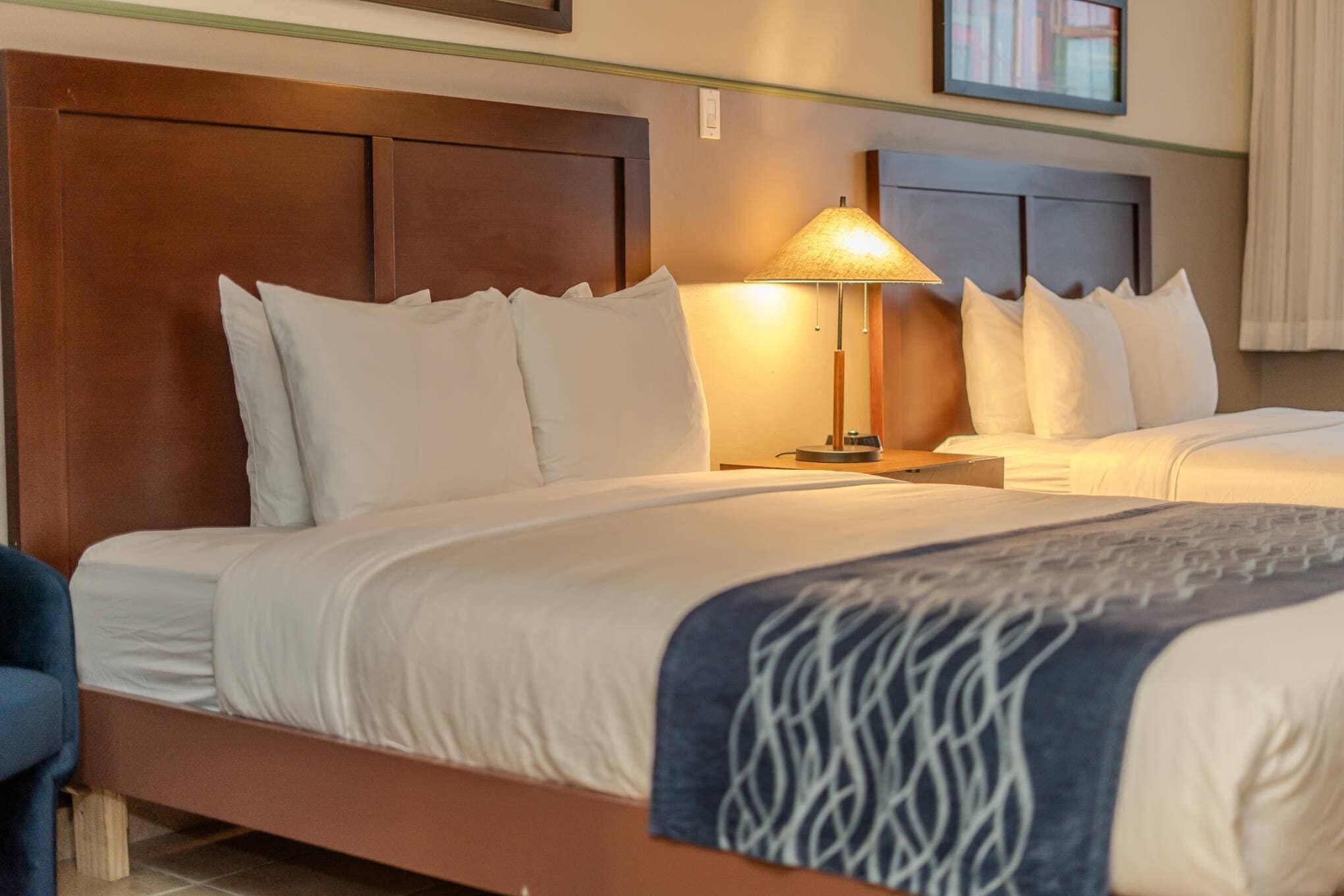 Foto - Comfort Inn & Suites