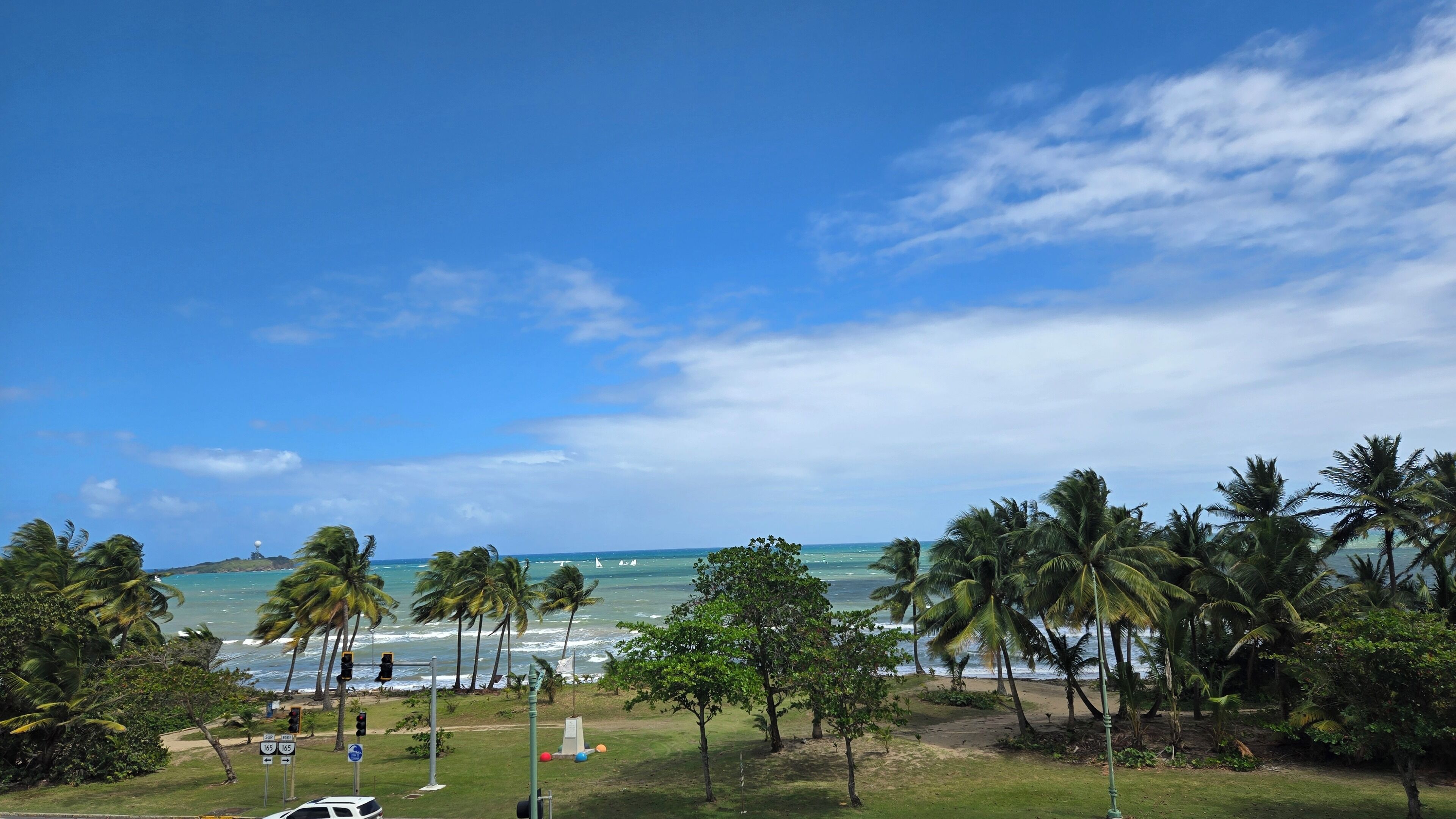 A coastal view with palm trees, a beach, and the ocean.