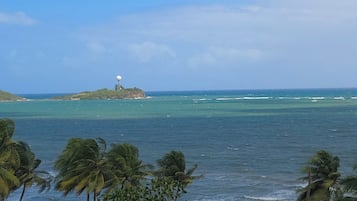 A coastal landscape with a clear sky, palm trees, and a distant island with a spherical structure.