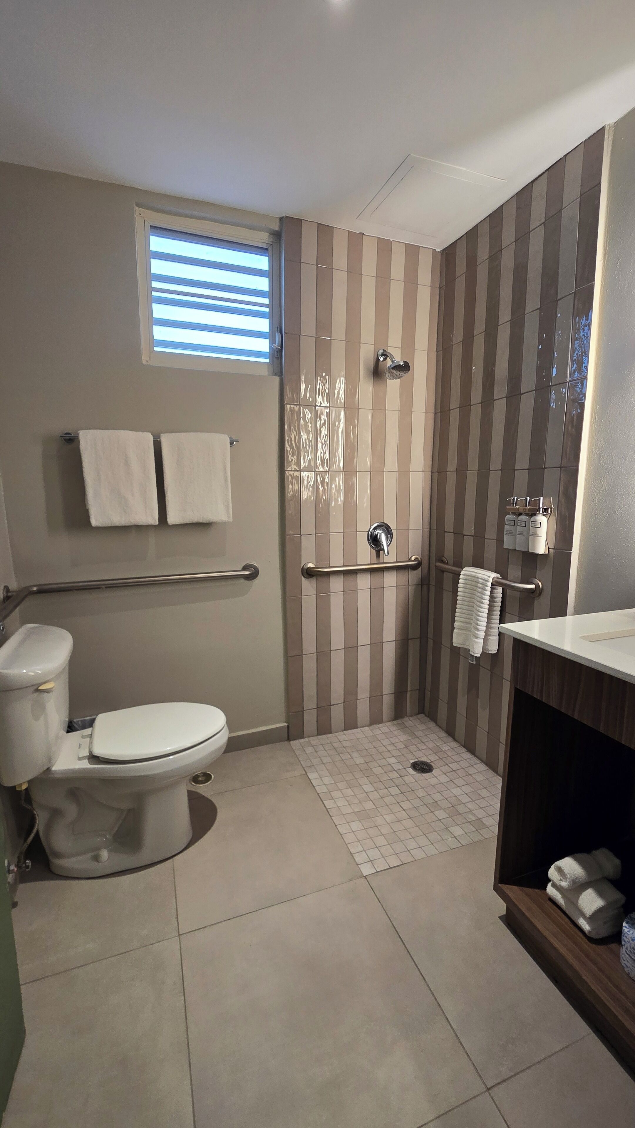 A bathroom with a toilet, a shower with a grab bar, a window with blinds, and a towel rack.