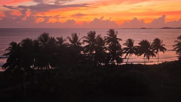 Vista al atardecer con palmeras y una carretera en primer plano.