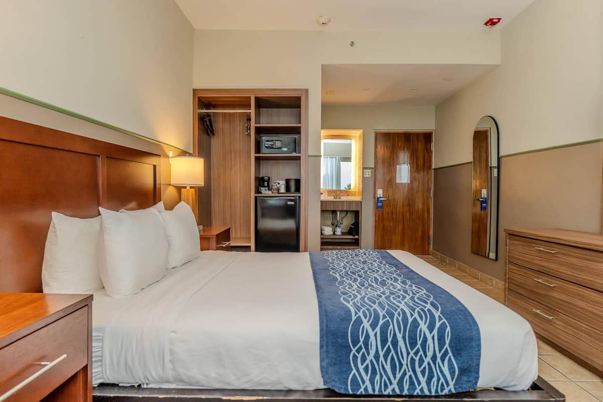 Room, 1 Queen Bed, Non Smoking | Down comforters, in-room safe, desk, laptop workspace