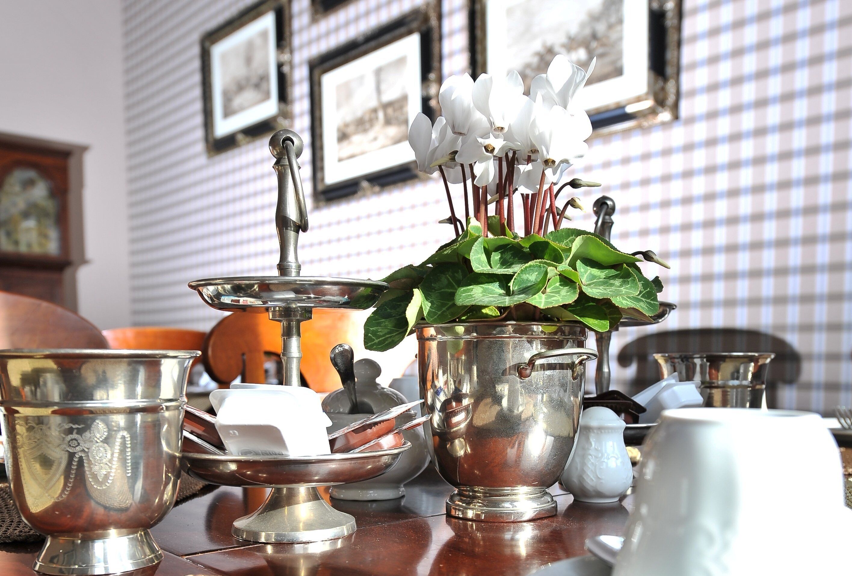 Photo - Boutique Hotel Windsor - The Charming City Hotels