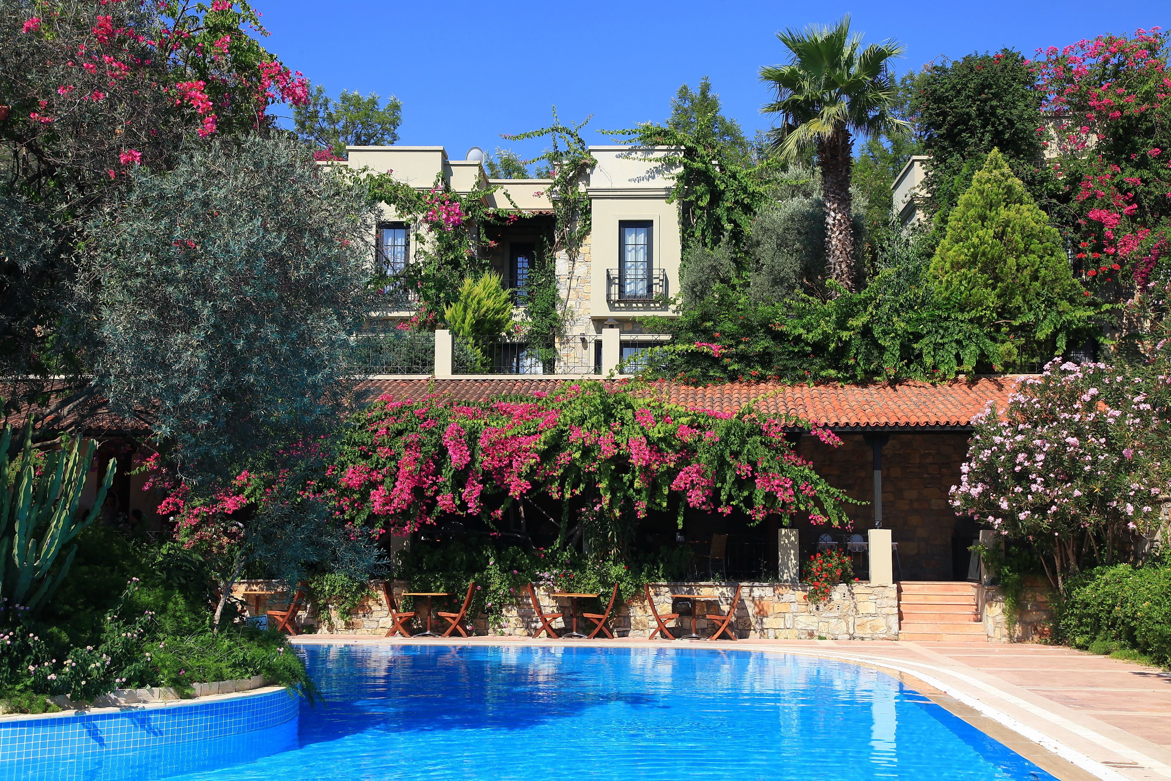 2 個室外泳池；泳池傘、躺椅