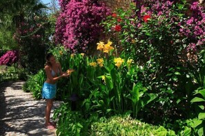 Property grounds - Hotel Zeytinada (Bodrum)