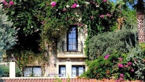 Una villa con techo de tejas, rodeada de exuberante vegetación y enredaderas florecientes.